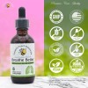 Creator's Touch Supplements Breathe Better Extract– 2 oz | Natural