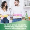 Frosch Eco Limpiacristales Pistola 500 per uso quotidiano, formato pratico