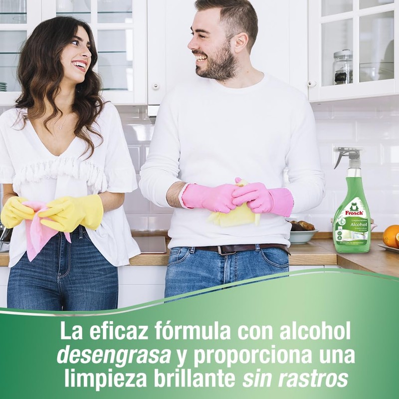 Frosch Eco Limpiacristales Pistola 500 per uso quotidiano, formato pratico