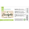 GreenHealth Eucalyptus Essential Oil - 100% Pure Therapeutic Grade Essential