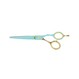Cricket Shear Xpressions Charmed Life 5.75” Professional Stylist Hair Cutting Scissors, Japanese Stainless Steel Shears, Guidance Counselor (Aqua & Gold Chrome)