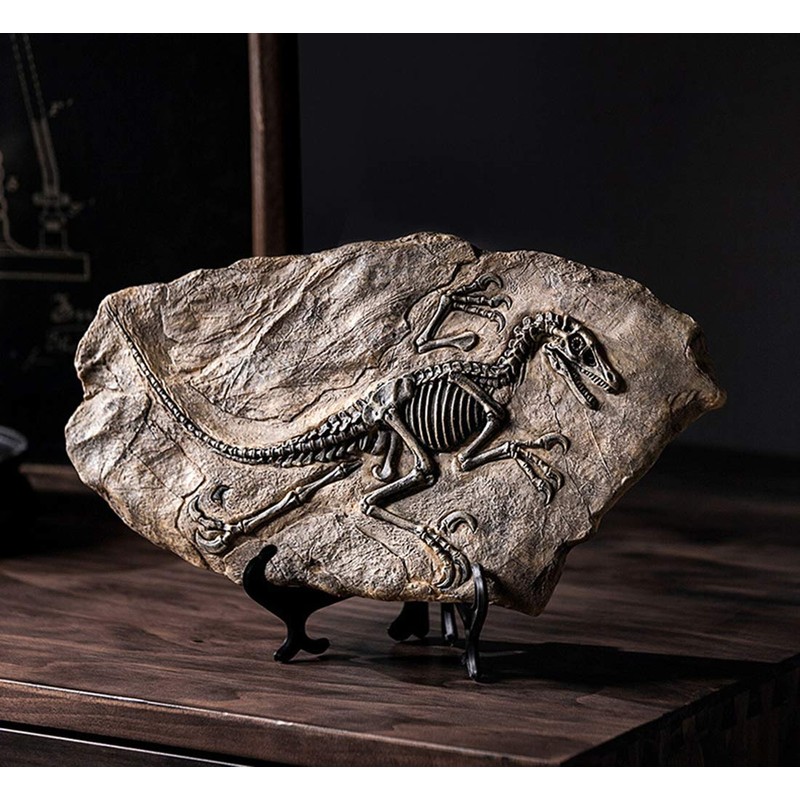 XINDAM Resin Dinosaur Fossil Statue Model Simulated Skeleton Home Office