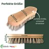 zederle Scrubbing Brushes with Ergonomic Beech Wood Handle (Pack of
