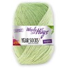 Woolly Hugs Year Socks Colour 05 May, 100g Sock Yarn
