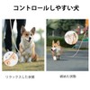 Dog Leash Dog Slip Leash Reflective Rope Lead Anti-Pull Lead