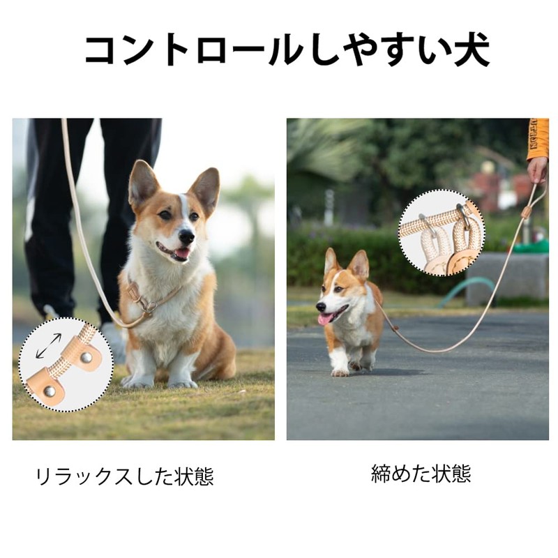 Dog Leash Dog Slip Leash Reflective Rope Lead Anti-Pull Lead