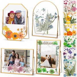Yalikop 4 Pcs Double Glass Frame for Pressed Flowers Handmade with 72 Dried Flowers, Metal Floating Picture Frame for Pressed Flower, Tabletop Display, Brass, 4 Styles, Gold, 5x7 Inch, 6x8 Inch