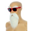 Party Chili Kame Sennin Master Roshi Costume White Beard Mustache