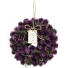 SG Wonder Zone 660-017 Blueberry Wreath, 9.4 inches (24 cm),