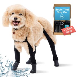 Walkee Paws Deluxe Easy-On, Dog Suspender Boot Leggings. Plus Chest Strap. Waterproof Booties for Small to Medium Sized Dogs, Dog Rain Boots, Protect from Hot Pavement (Black, Small)