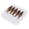 Fly Fishing Hooks, Nymph, Stone Fly Bait, Fly Bait for