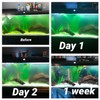 Aquarium Light 5W for 20-75 Gallon Submersible Clean Green Lamp