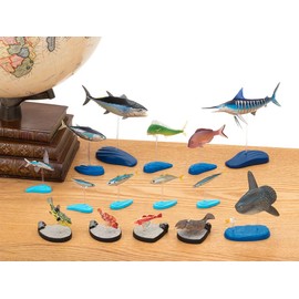 Carolata, Saltwater Fish, 3D Picture Book (15 Types / Stand, Instruction Book), Realistic Figure (Educational Toy), Birthday Gift, Gift (Food Sanitation Act Clear), Fish Toy
