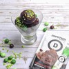 Devotion Nutrition Protein Powder Blend | Gluten Free, Keto Friendly,
