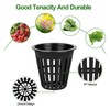50Pcs Hydroponics Cups Lightweight Economy Net Pots 2 Inch Plastic