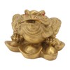 Money Toad Fortune Good Luck Attract Wealth Corrosion Resistant Three
