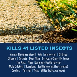 BioAdvanced Complete Brand Insect Killer for Soil and Turf, Granules, 10 lb, Outdoor Ant Killer