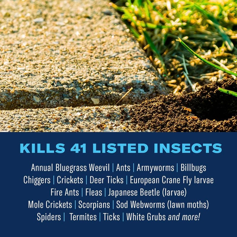 BioAdvanced Complete Brand Insect Killer for Soil and Turf, Granules,