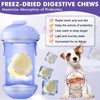 Probiotics for Dogs, Freeze-Dried Dog Probiotics and Digestive Enzymes, Plus