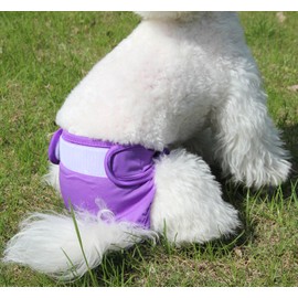 JoyDaog Female Dog Diapers for Small Dogs,4 Pack Reusable Washable Premium Puppy Diapers for Heat,Incontinence,Period Doggy Nappies,S