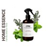 Fine Fragrance, Esencia para Hogar aroma Menta Eucalipto 250ml, ideal