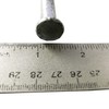 (10) 80d - Galvanized Spike nails