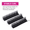 Self-Fanning Volume Eyelashes, Easy Fan Lashes for Eyelash Extensions, 12