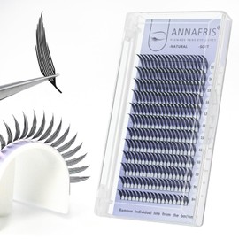 ANNAFRIS Comic Spire Eyelash Extension Premade Fans Lash Extensions Manga False Eyelashes Natural Soft Feather Shape Lashes(Comic Spire,0.07 D 8-15mm Mix)
