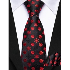 Dubulle Christmas Zipper Ties for Boys Xmas Pattern Color Necktie and Pocket Square Age 8-12 Kids Festival Party,Black and Red