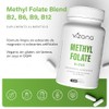 VIZANA NUTRITION | B Complex con Methyl Folate a Base