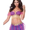California Costumes Women's Belly Dancer Sexy Two Piece Genie Costume,