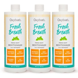 Oxyfresh Fresh Mint Flavored Mouthwash for Adults, Fresh Breath & Bad Breath Treatment – Dentist Recommended for Long - Lasting Fresher & Healthy Gums - Alcohol & Fluoride Free - 16 Fl Oz (Pack of 3)