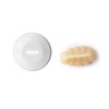 Ibili - Screw-in Churrera - Cookie Machine, BPA-Free Plastic, 12