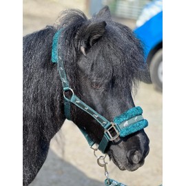 Equipride Horse Print Faux Lined Nylon Headcollars with Matching Lead Rope Green (Full)