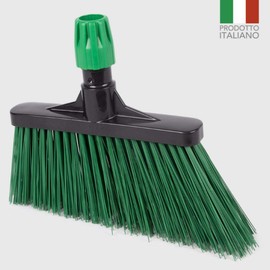 The Briantina sco03924 a High angle broom Garden