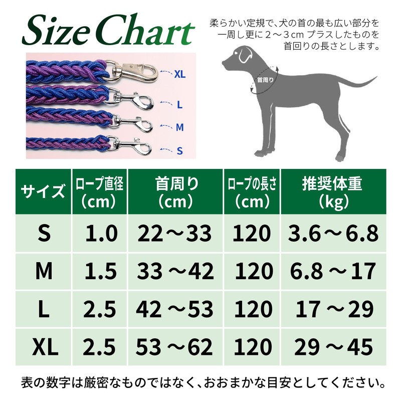Avidora Dog Leash Collar Set Half Chalk Chain Paracord Nylon