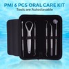 Dental Tools Kit for Teeth Cleaning, Plaque Remover, Metal Stainless