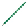Caran D'Ache Pablo Colored Pencils Emerald Green (210/666)