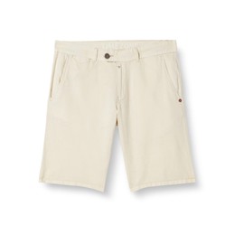 Timezone Men's Slim JannoTZ Short Shorts, Silver birch,