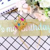 It's My Birthday Sash for Women Tiara & Crowns Headbands