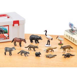 Carolata Japanese Animal Figure, 3D Picture Book (Japan Animals, 12 Types, Includes Instruction Book), Realistic Figure Box, Toy, Educational Toy, Present, Gift, Food Sanitation Act Clear
