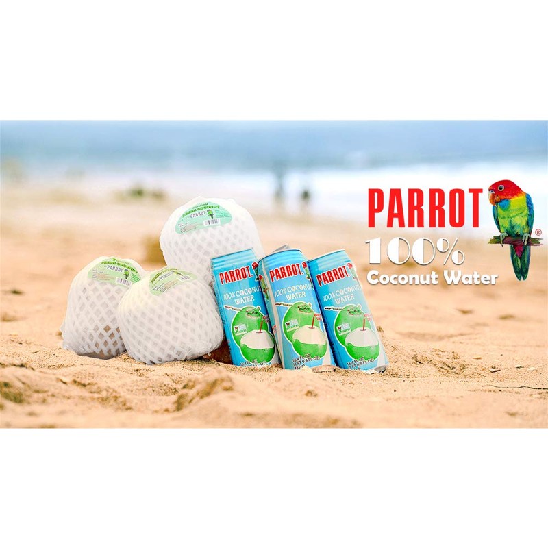 Parrot Brand Coconut Water No Pulp 500ml 16.9 fl. oz.(Pack