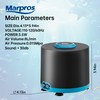 Aquarium Air Pump with Adjustable Double Outlet air Stone Bubbler