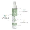 Kit Árbora Cuidado Facial Aceite Almendras Jabón Y Tónico Tea