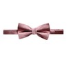 Spring Notion Men's Solid Color Satin Microfiber Bow Tie and