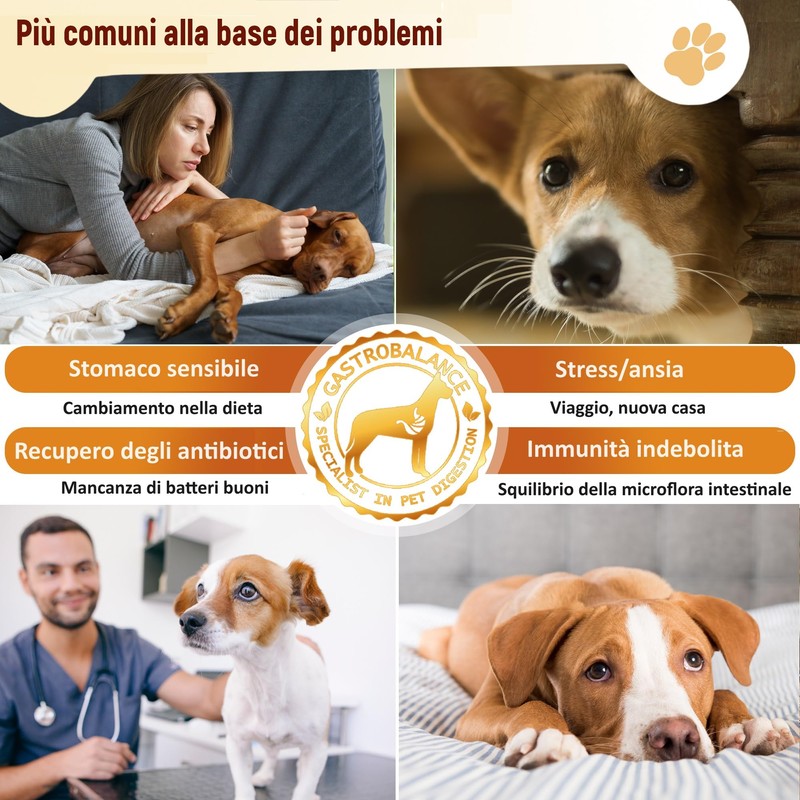 GastroBalance cani probiotici - 60 bocconcini masticabili naturali prebiotici e