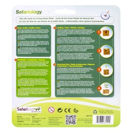 Safari Ltd. | Life Cycle of a Bean Plant | Safariology Collection | Toy Figurines for Boys & Girls