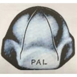 Palnut Tinnerman AC1032 10-32 Acorn Type Lock Speed Nuts Closed Top (25 pieces)