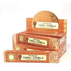 Hari Darshan Handcrafted Premium Incense Stick (Box of 12x15 Sticks) (Copal+CINAMMON)
