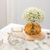 Hollyone Clear Glass Vase with Cotton Rope Cover Woven Round